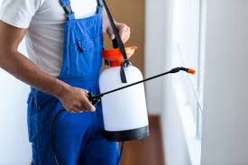 Best Pest Prevention Services  in Macon, MS